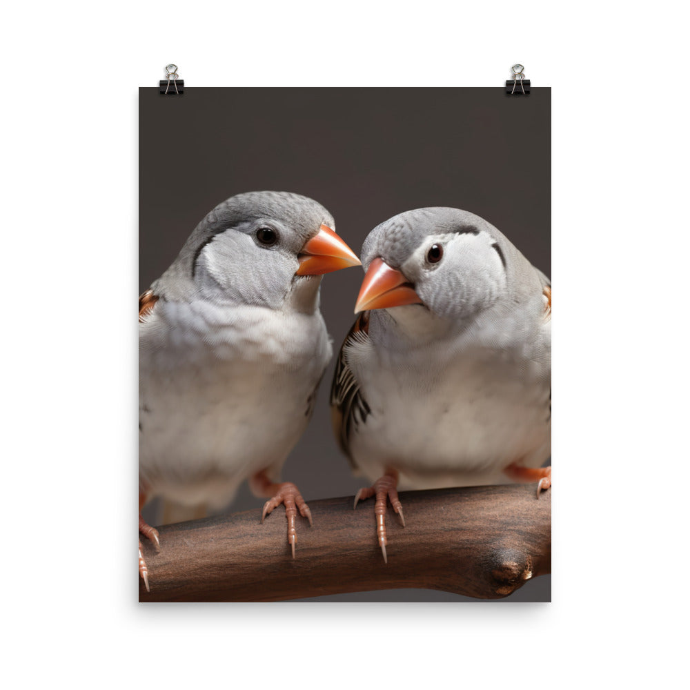 Close-up of Zebra Finches Photo paper poster - PosterfyAI.com
