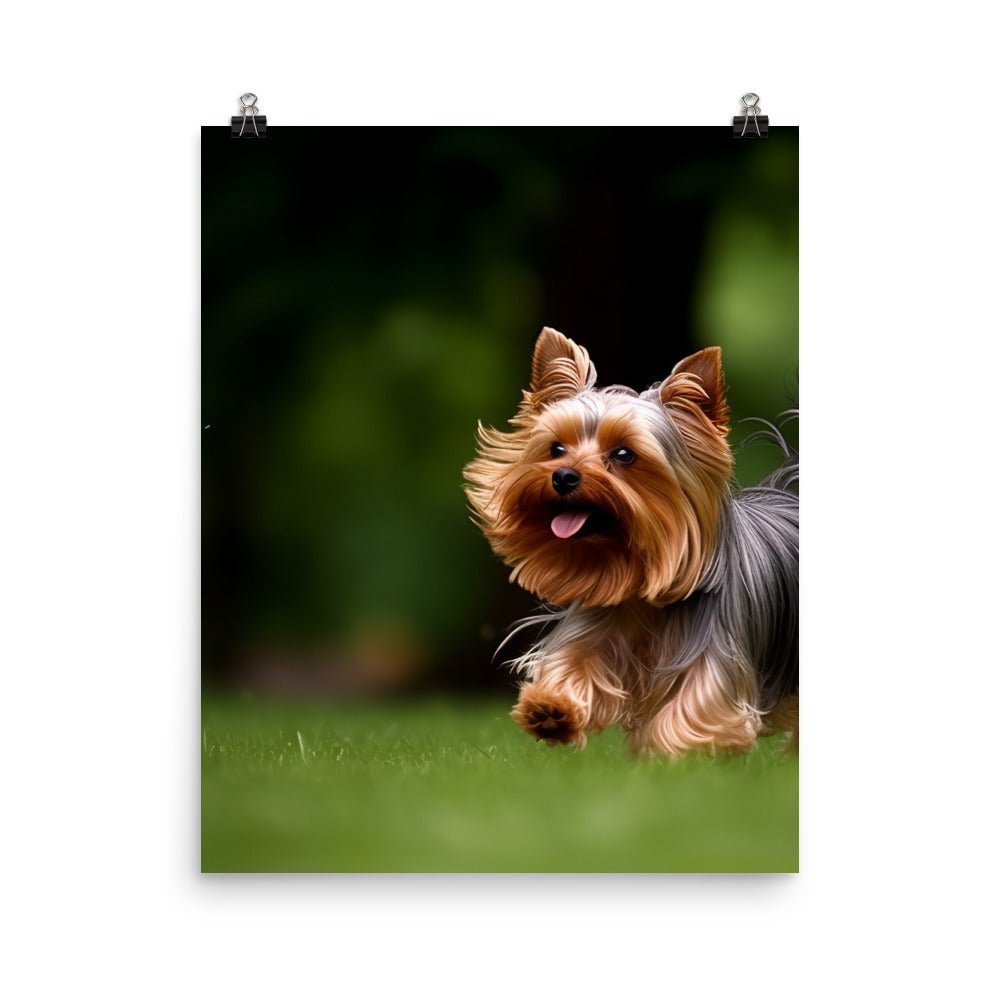 Yorkshire Terrier on-the-Go Photo paper poster - PosterfyAI.com