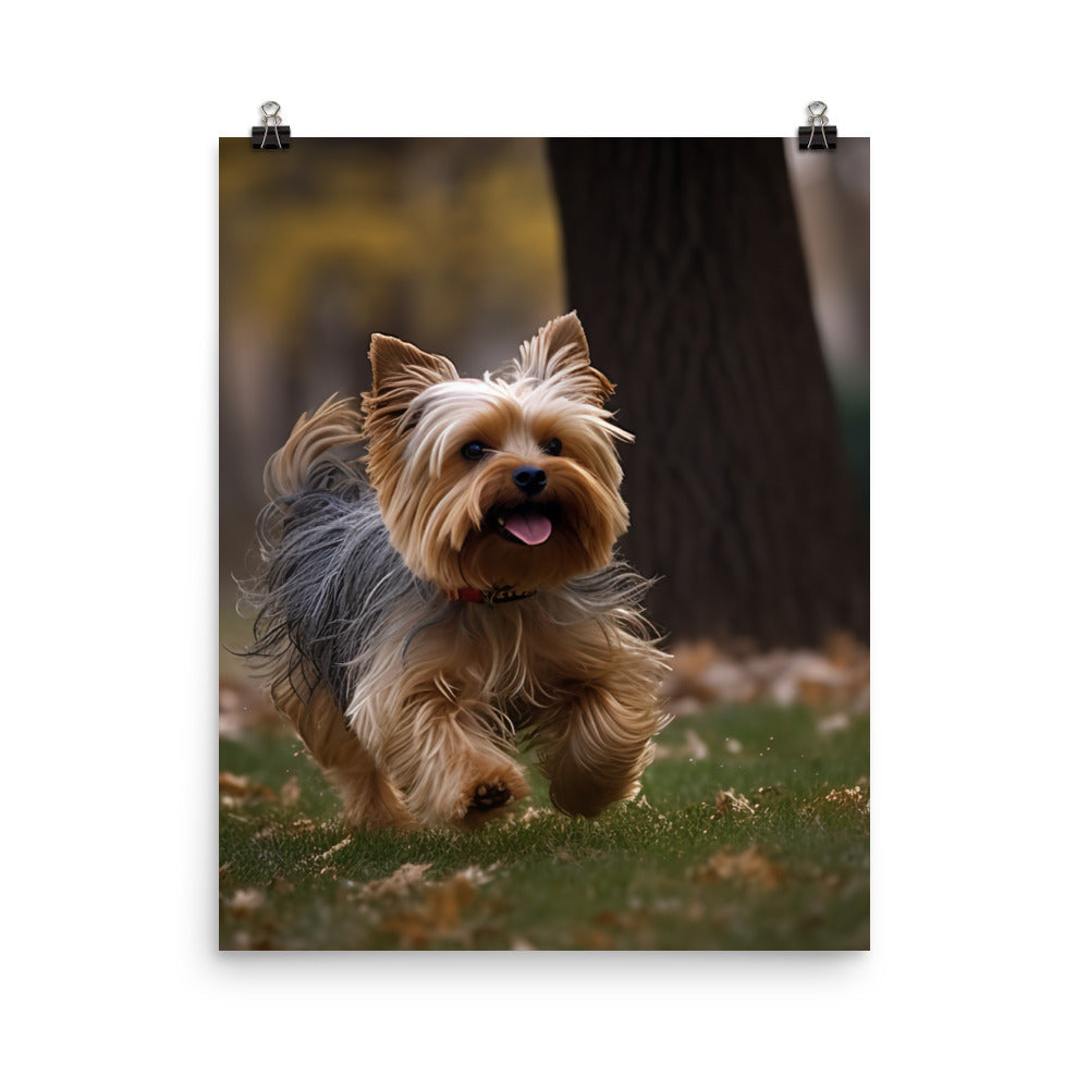 Yorkshire Terrier on-the-Go Photo paper poster - PosterfyAI.com