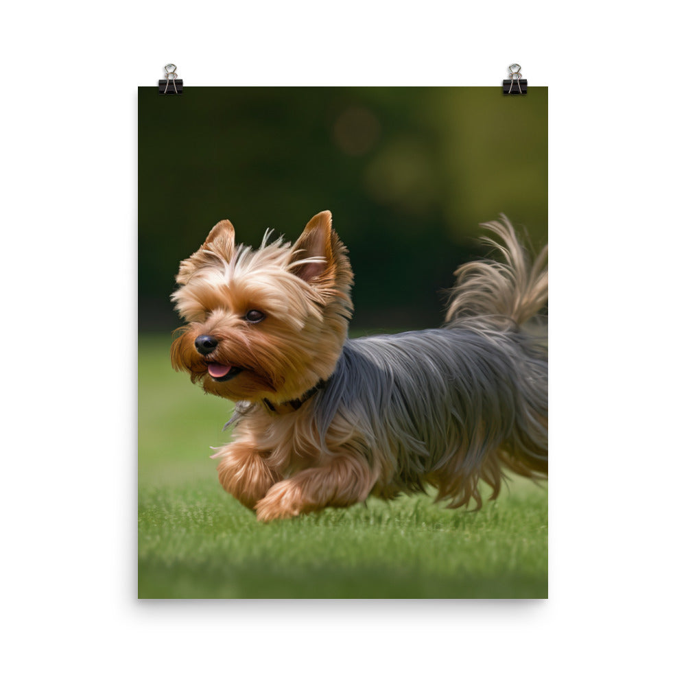 Yorkshire Terrier on-the-Go Photo paper poster - PosterfyAI.com