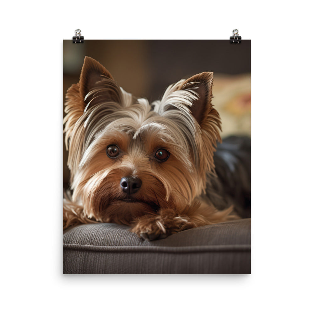 Yorkie at Home Photo paper poster - PosterfyAI.com