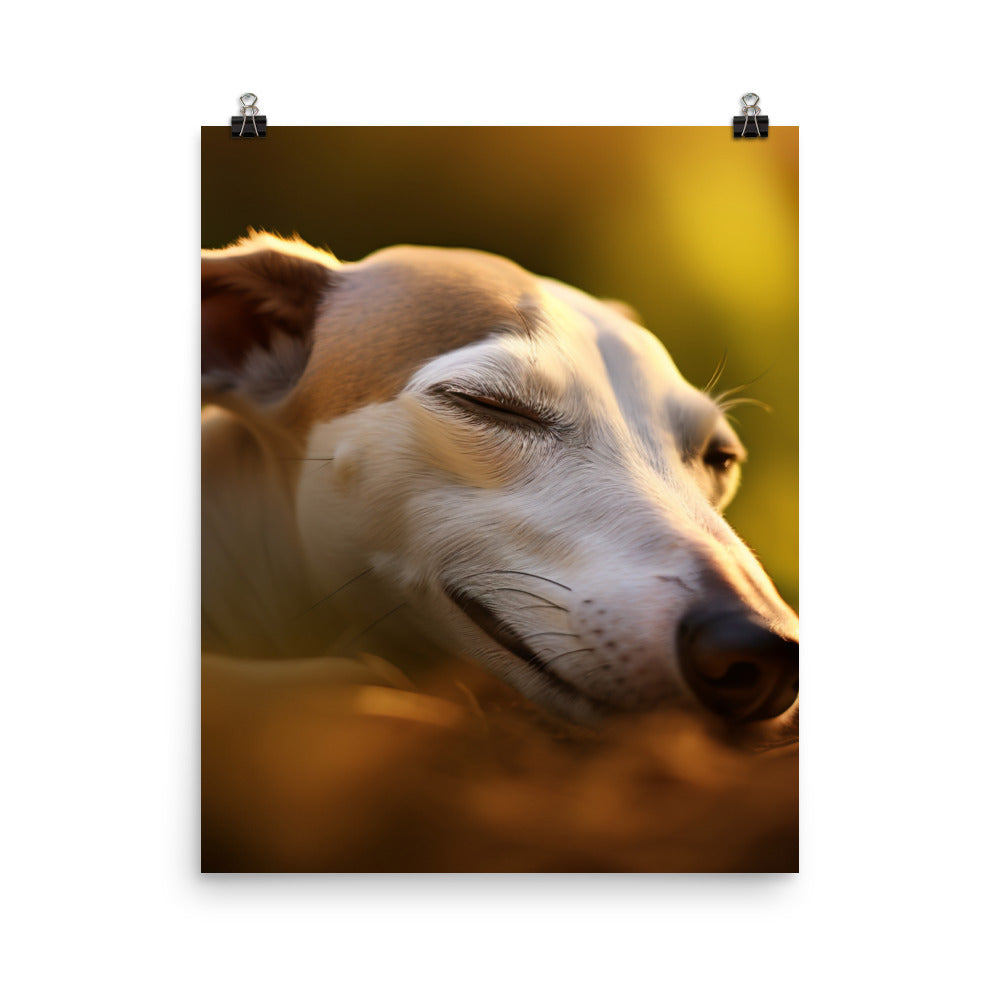 Whippet Beauty Sleep Photo paper poster - PosterfyAI.com