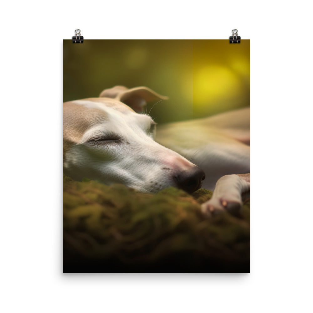 Whippet Beauty Sleep Photo paper poster - PosterfyAI.com