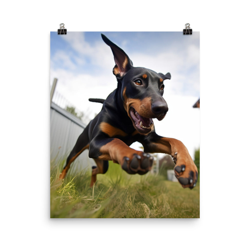 The playful side of a Doberman Pinscher Photo paper poster - PosterfyAI.com