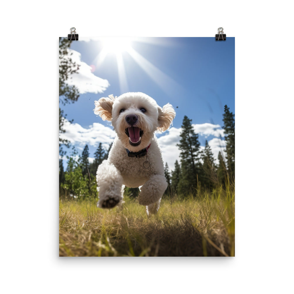 The Playful Poodle Photo paper poster - PosterfyAI.com