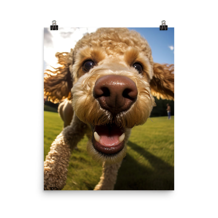 The Playful Poodle Photo paper poster - PosterfyAI.com