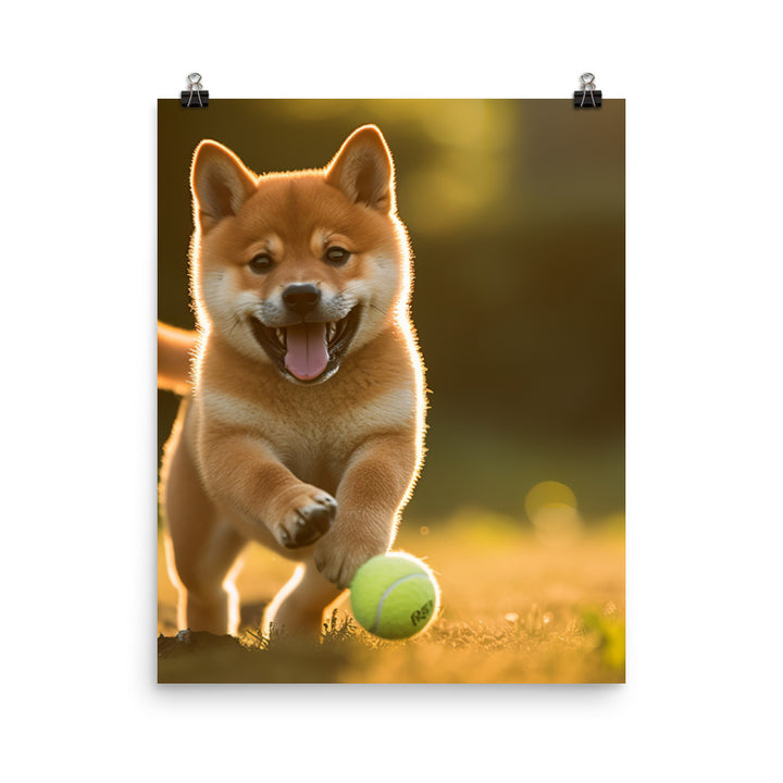 Shiba Inu Pup Playing Photo paper poster - PosterfyAI.com
