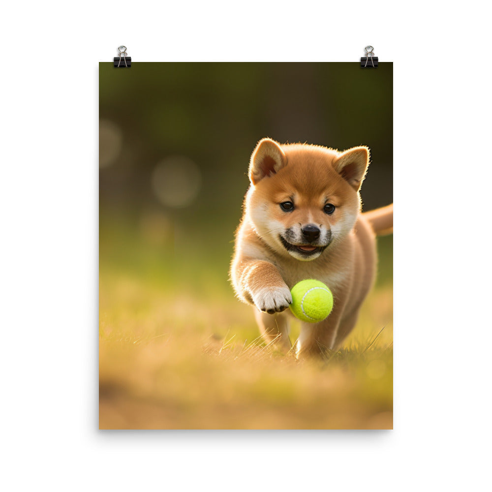 Shiba Inu Pup Playing  Photo paper poster - PosterfyAI.com