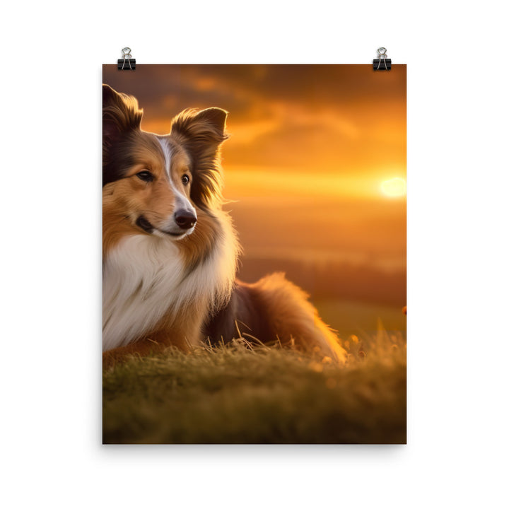 Shetland Sheepdog Watching the Sunset Photo paper poster - PosterfyAI.com