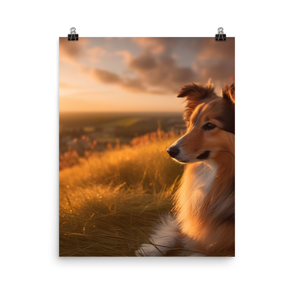 Shetland Sheepdog Watching the Sunset Photo paper poster - PosterfyAI.com