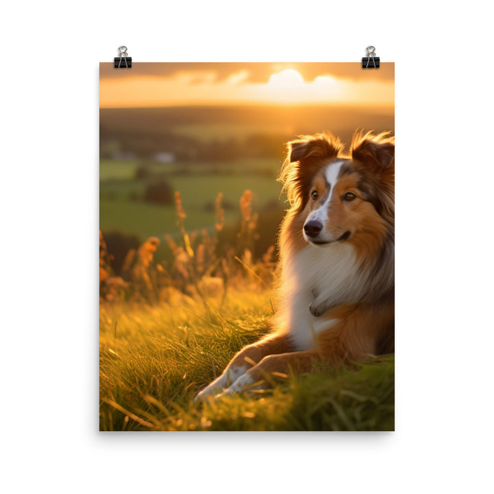 Shetland Sheepdog Watching the Sunset Photo paper poster - PosterfyAI.com