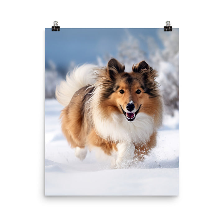 Shetland Sheepdog Playing in the Snow Photo paper poster - PosterfyAI.com