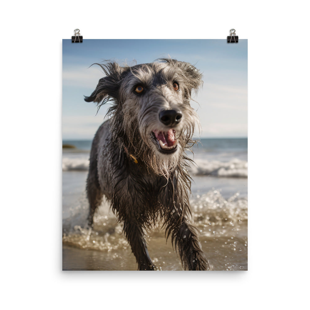 Scottish Deerhound on the Beach Photo paper poster - PosterfyAI.com