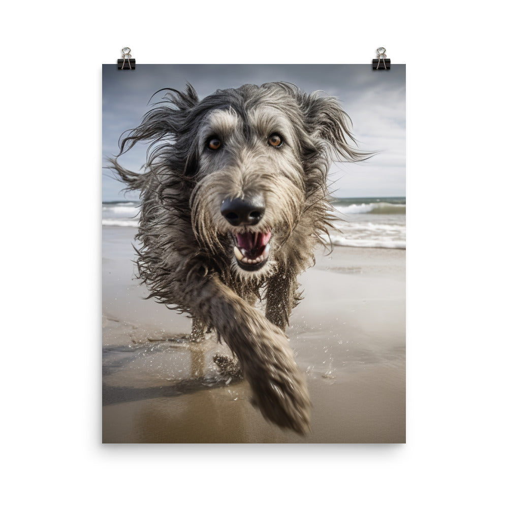 Scottish Deerhound on the Beach Photo paper poster - PosterfyAI.com