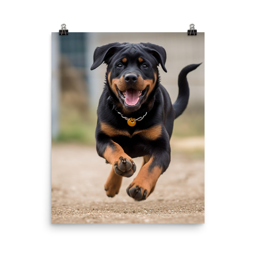 Rottweilers playful side in action Photo paper poster - PosterfyAI.com