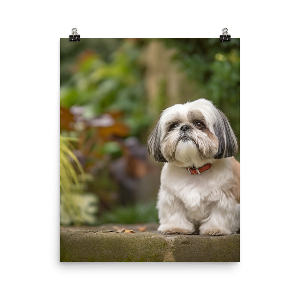 Regal Shih Tzu Posing in the Garden Photo paper poster - PosterfyAI.com