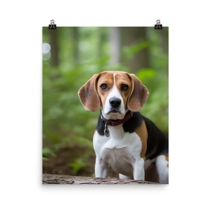 Proud Beagle posing for the camera Photo paper poster - PosterfyAI.com