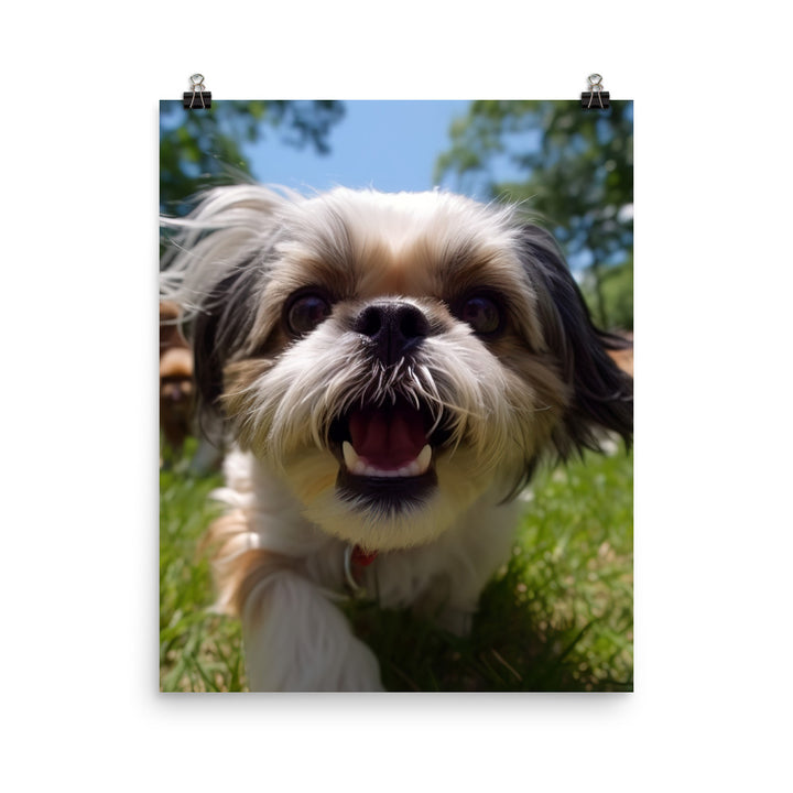 Playful Shih Tzu in a Park Photo paper poster - PosterfyAI.com