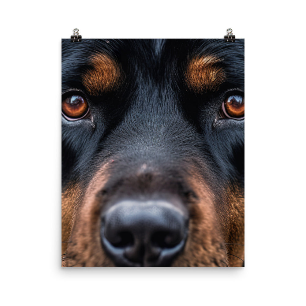 Rottweiler Photo paper poster - PosterfyAI.com