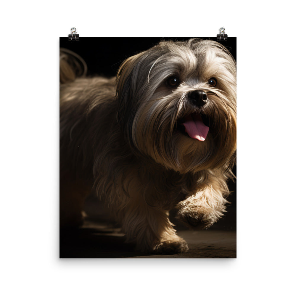 Lhasa Apso Playtime Photo paper poster - PosterfyAI.com