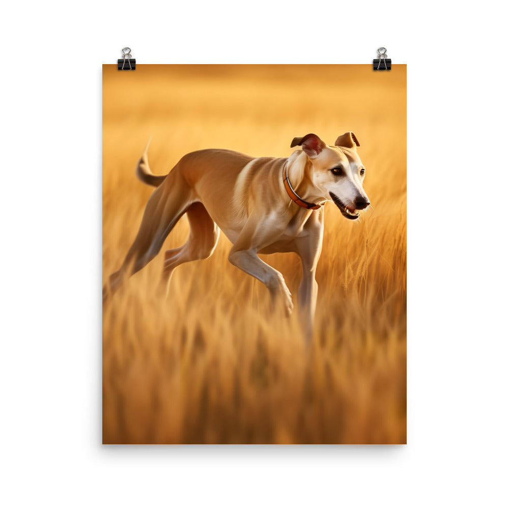 Graceful Greyhound Photo paper poster - PosterfyAI.com