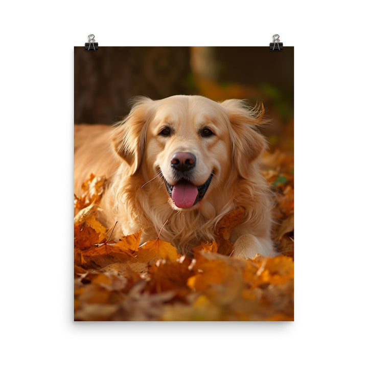 Golden Retriever in the Fall Photo paper poster - PosterfyAI.com