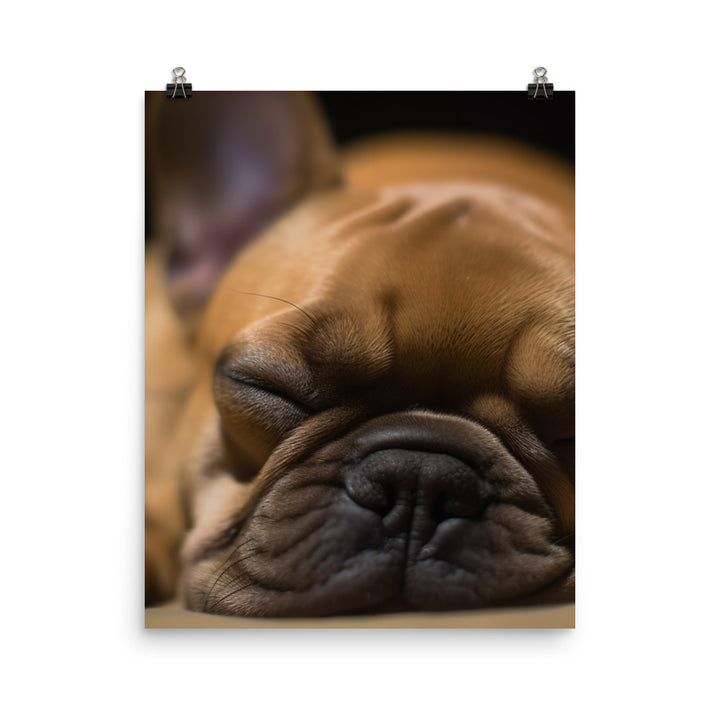 Frenchie dreams Photo paper poster - PosterfyAI.com