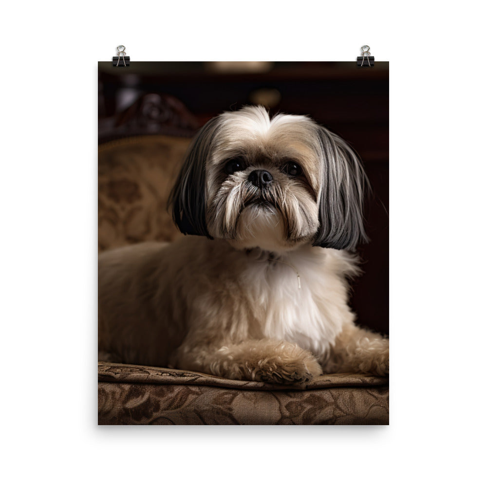 Elegant Shih Tzu Portrait Photo paper poster - PosterfyAI.com