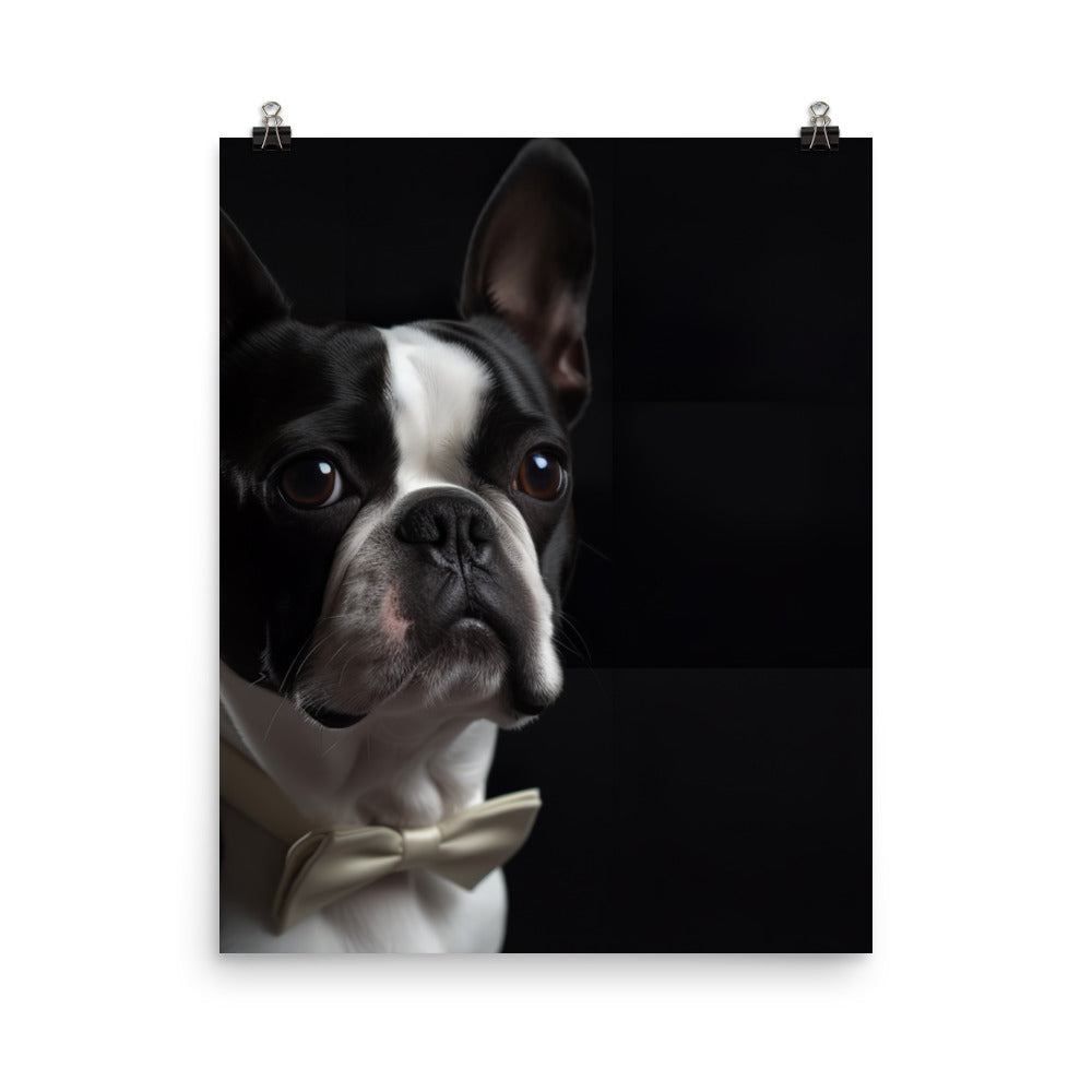 Elegant Boston Terrier Portrait Photo paper poster - PosterfyAI.com