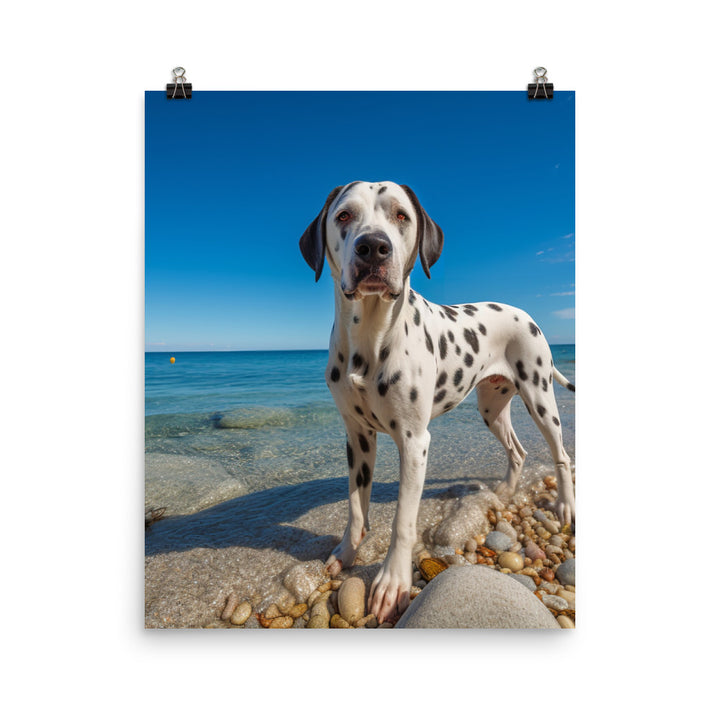 Dalmatian on the Beach Photo paper poster - PosterfyAI.com