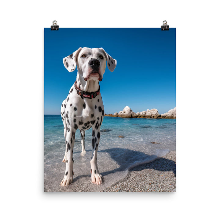 Dalmatian on the Beach Photo paper poster - PosterfyAI.com