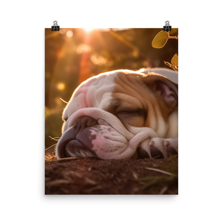 Cute Bulldog in the Sun Photo paper poster - PosterfyAI.com