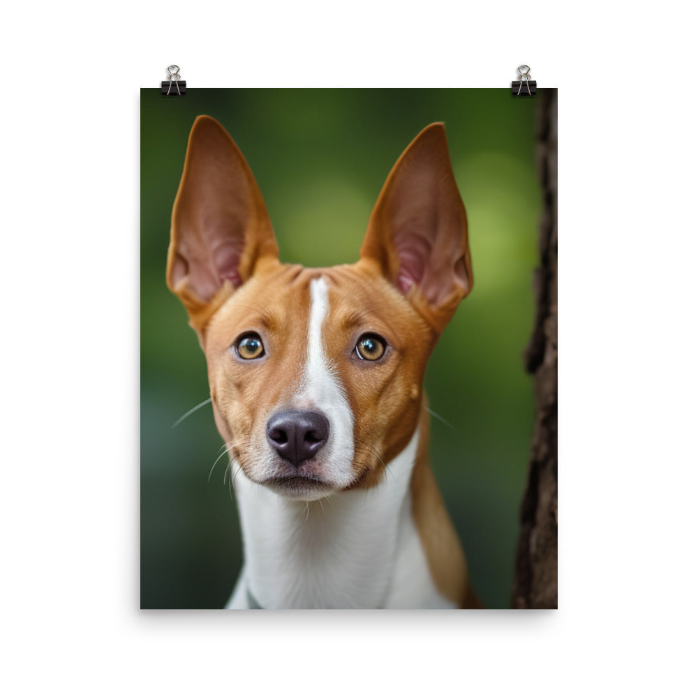 Curious Basenji Photo paper poster - PosterfyAI.com