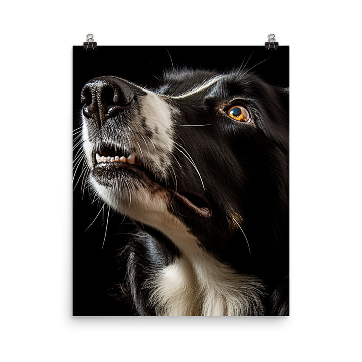 Clever Border Collie Photo paper poster - PosterfyAI.com