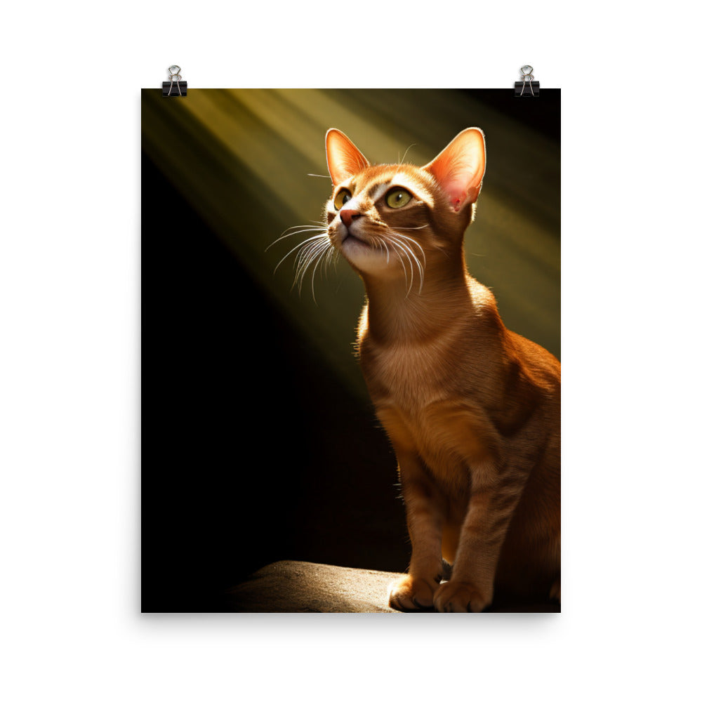 Playful Spirit of Abyssinian Cat Photo paper poster - PosterfyAI.com