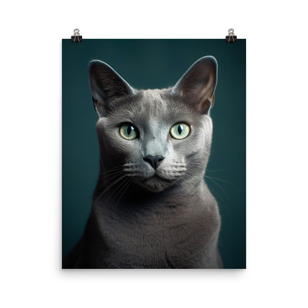 Gentle Nature of Russian Blue Cat Photo paper poster - PosterfyAI.com