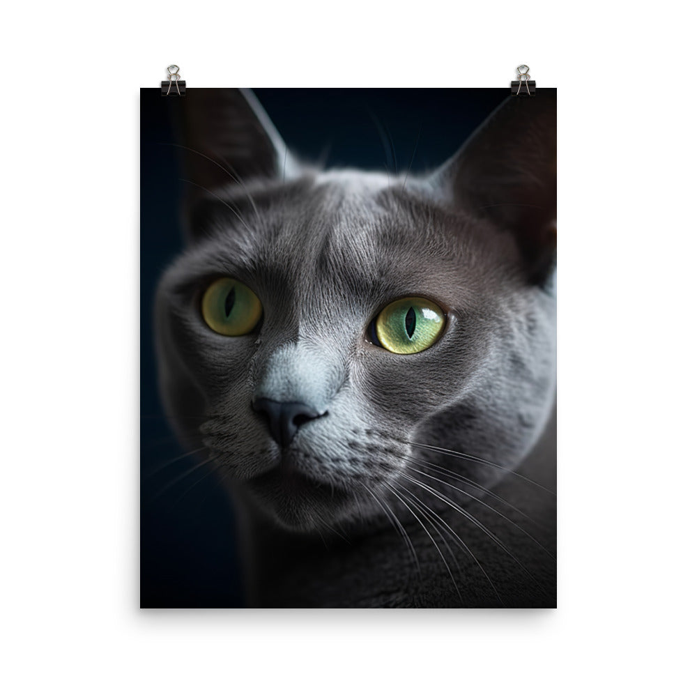 Beauty of Russian Blue Cat Photo paper poster - PosterfyAI.com
