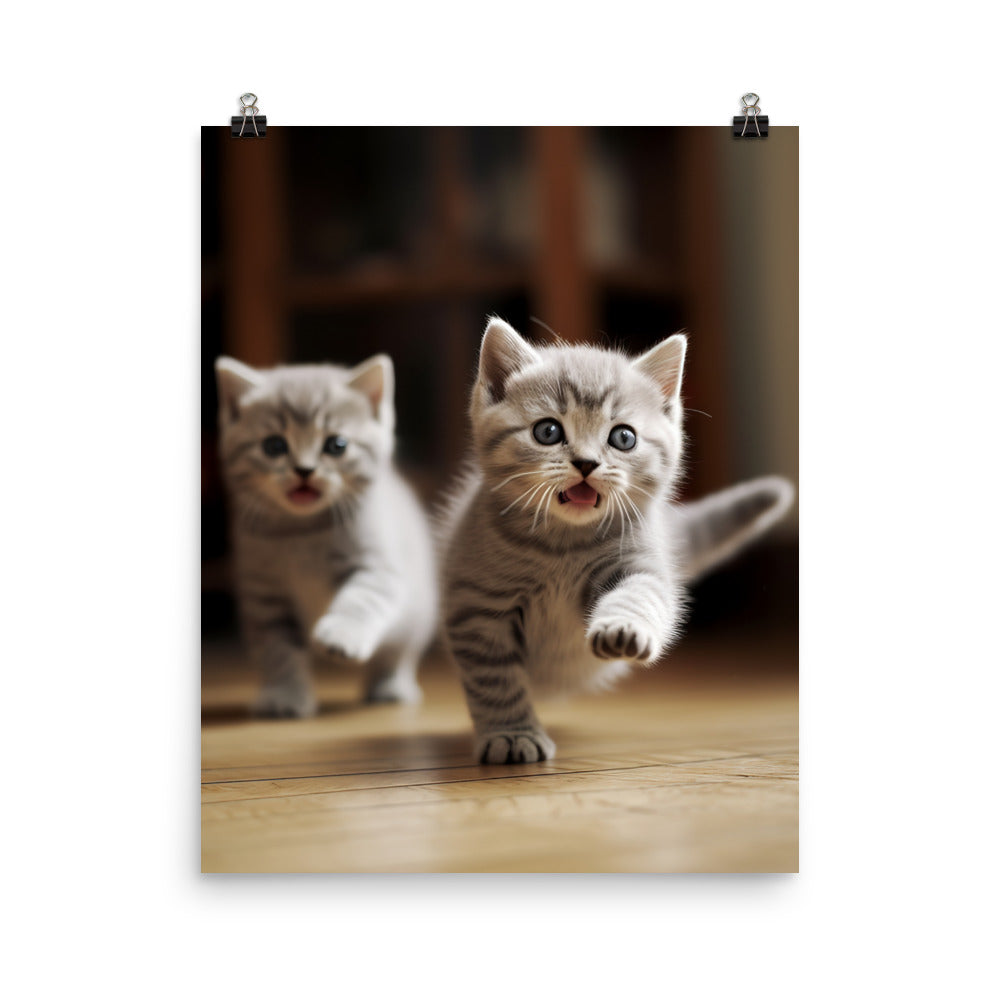 British Shorthair Kittens Photo paper poster - PosterfyAI.com