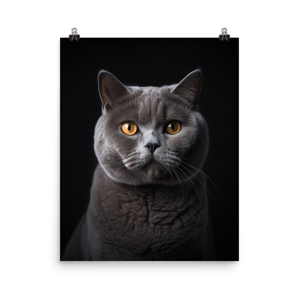 British Shorthair Cat in Portraits Photo paper poster - PosterfyAI.com