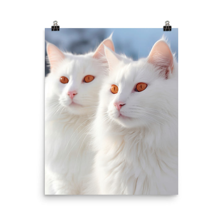 Turkish Van Cat in Winter Photo paper poster - PosterfyAI.com