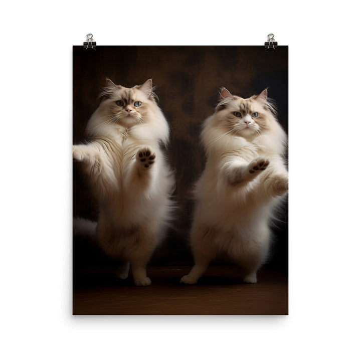 Ragdoll Cat in Motion Photo paper poster - PosterfyAI.com