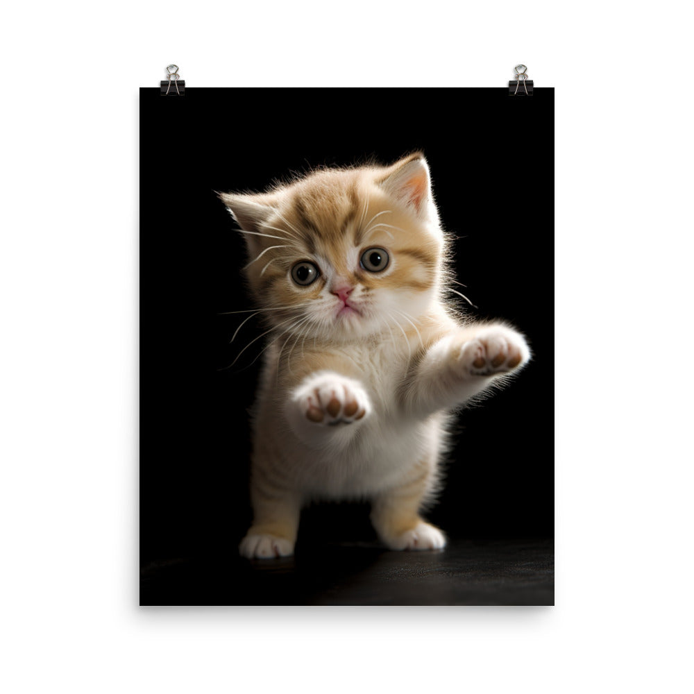 Exotic Shorthair Kitten Photo paper poster - PosterfyAI.com