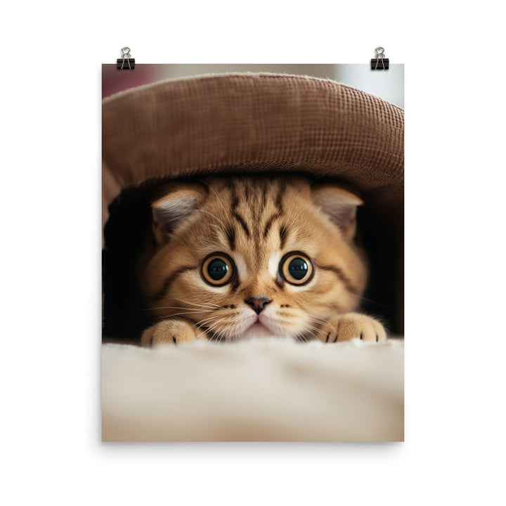 Scottish Fold Kitten Photo paper poster - PosterfyAI.com