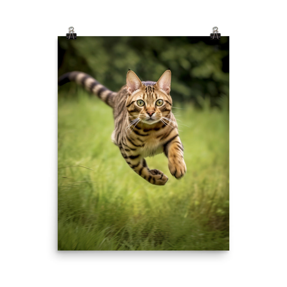 Bengal Cat Hunting Adventure Photo paper poster - PosterfyAI.com