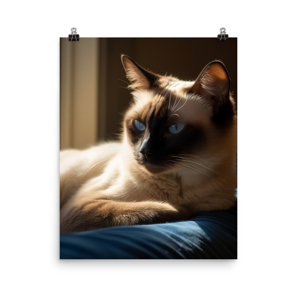 Siamese Serenity Photo paper poster - PosterfyAI.com