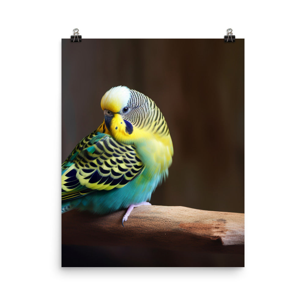 Cheerful Budgie on a Perch Photo paper poster - PosterfyAI.com