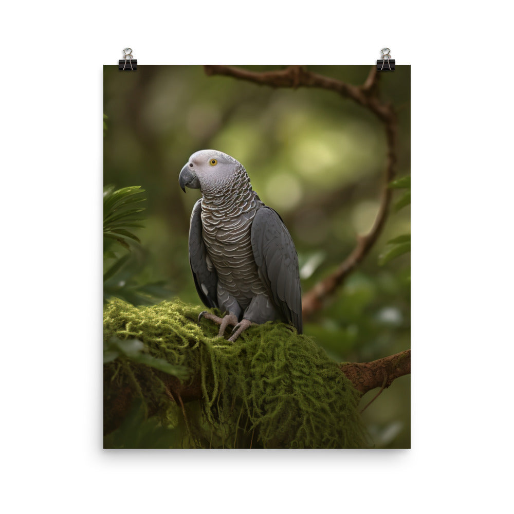 African Grey Parrot in Natural Habitat Photo paper poster - PosterfyAI.com