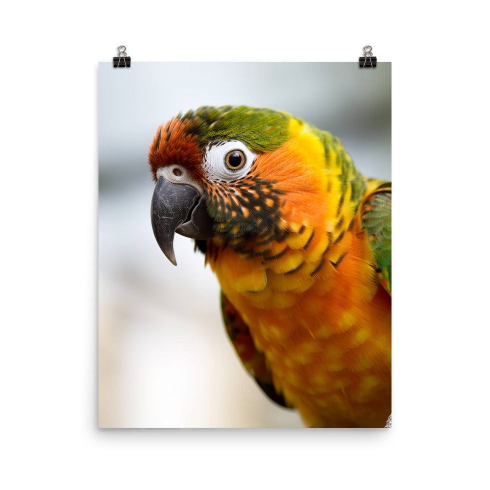 A colorful Conure perched on a branch Photo paper poster - PosterfyAI.com