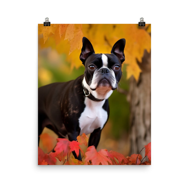 Boston Terrier with Fall Colors Photo paper poster - PosterfyAI.com