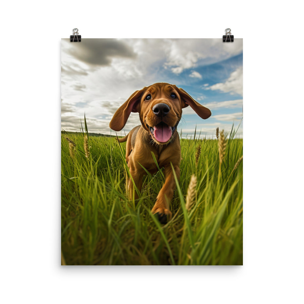 Bloodhounds Playtime Photo paper poster - PosterfyAI.com